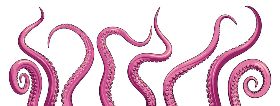 A vector set of pink octopus tentacles. Underwater monster graphic.