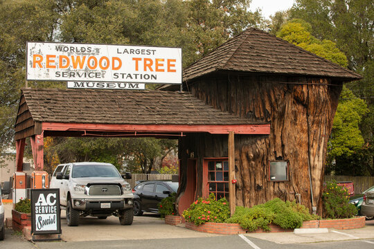 Ukiah, California, USA - November 18, 2021: Cloudy autumn light shines on the historic downtown Redwood Tree Service Station.