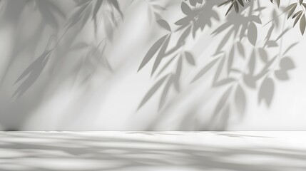 Minimalistic light background with blurred foliage shadow on a white wall. Beautiful background for...