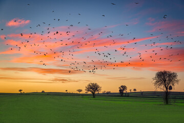 landscapes trees mountains sky sunset