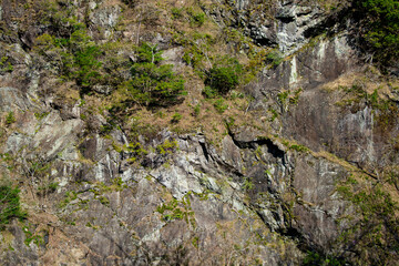 静岡県川根本町　寸又峡の景色　2024年春