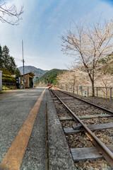 Fototapeta premium 静岡県川根本町 春の奥大井湖上駅の景色