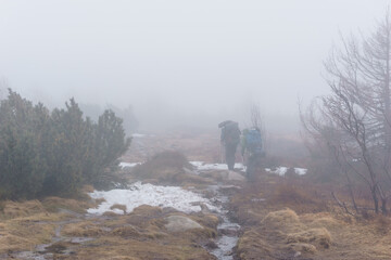 Hiking people high up at the moor landscape of the Vosges with heather on a foggy atmospheric winter morning, Alsace, France