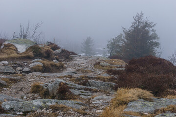 High up at the rocky GR 5 hiking trail in the Vosges on a foggy atmospheric winter morning, Alsace,...