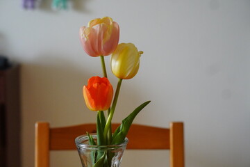 部屋に飾るチューリップ