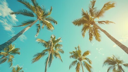 Summer composition. Palm leaves on pastel blue background. 