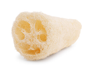 Loofah sponge isolated on white. Personal hygiene product