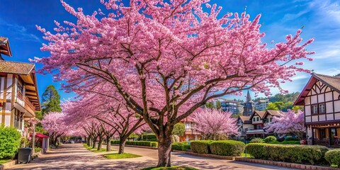Cherry blossom tree in the center of Gramado, vertical shot