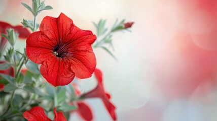 Vibrant red flower with green leaves in soft-focus background