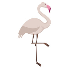 Fototapeta premium Flamingo vector art cartoon illustration, transparent background