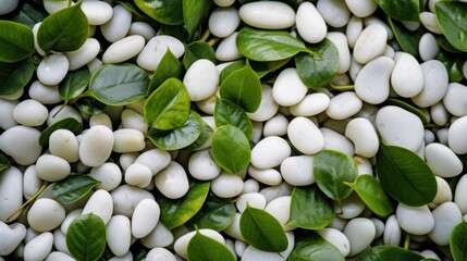 a smooth, oval-shaped white stone. Between the stones, there are green leaves that are fresh and look alive. - Powered by Adobe