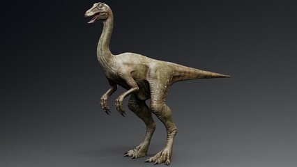 Fototapeta premium Gallimimus Model of background, 3d rendering