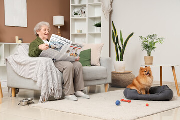 Senior woman reading newspaper with cute Pomeranian dog in pet bed at home