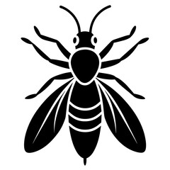 insect black icon silhouette illustration on white background