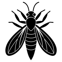 insect black icon silhouette illustration on white background