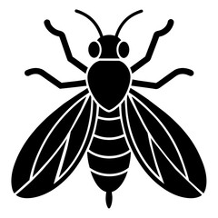 insect black icon silhouette illustration on white background