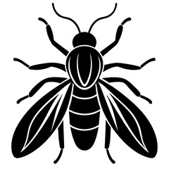 insect black icon silhouette illustration on white background