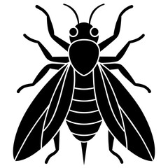 insect black icon silhouette illustration on white background