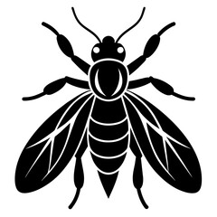 insect black icon silhouette illustration on white background