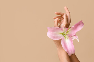 Hands of young African-American woman with pink lily flower on beige background
