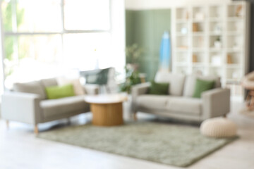 Interior of stylish modern living room with surfboard and sofas, blurred view