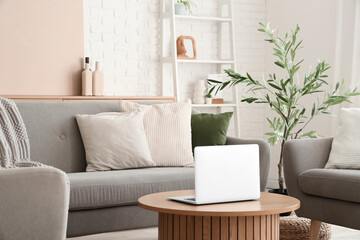 Stylish interior of living room with cozy sofa, armchairs, coffee table, laptop and olive tree, closeup
