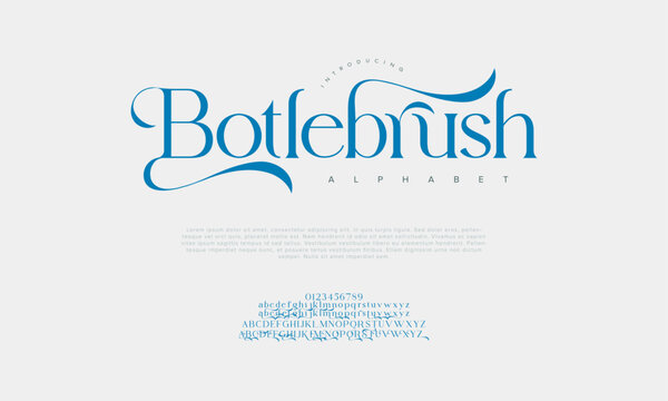 Brush premium luxury elegant alphabet letters and numbers. Vintage wedding typography classic serif font decorative vintage retro. creative vector illustration