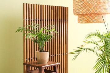 Interior of room with wooden folding screen, chair and houseplants near green wall