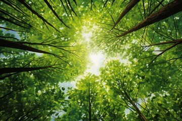 Obraz premium Sunlit Green Majesty Awe-Inspiring View of Tall Forest Trees.j