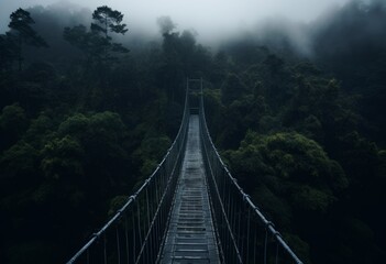 Fototapeta premium Nature’s Corridor Suspension Bridge to Lovely Green Woodland Trees