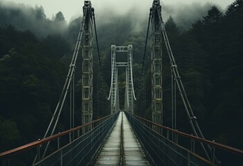 Woodland Approach Symmetrical Suspension Bridge to Lush Swiss-Style Trees.