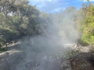 Kuirau Park, Rotorua, North Island of New Zealand