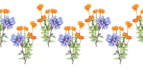 Seamless rim with watercolor bouquet with bellflower and frying flowers Trollius on white background. Orange blue summer wildflower. Meadow herbs. Botanical border pattern for wallpaper or wrapping