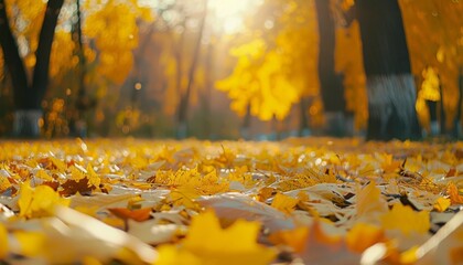 colorful autumn landscape with yellow leaf carpet in natural park sunny day photography - Powered by Adobe