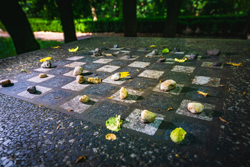 Close Up of a Chess Board in a park With rocks Pieces