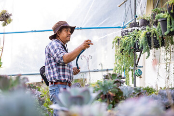 Asian gardener is watering the succulent plant inside his glasshouse using hose for hobby and...