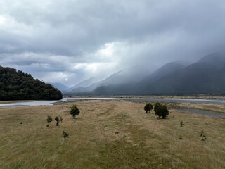 Native trees along the riverbank of the Haast River, Haast, West Coast, New Zealand.