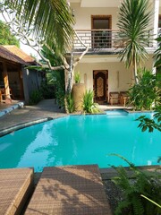 Fototapeta premium Garden on back yard with swimming pool 