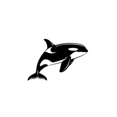 Fototapeta premium Orca Whale Simple Vector Illustration, Minimalist black and white vector illustration of an orca whale in a clean and simple design.