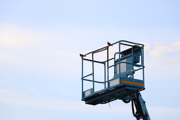 The aerial platform of the boom lift is carried to heights. with a bird perched on top