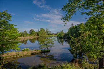 Teichlandschaften im Waldviertel