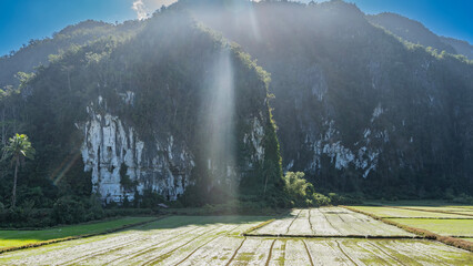 Flooded agricultural rice fields are located at the foot of the mountain. The rays of the sun...