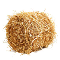 Obraz premium Hay isolated on white background