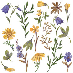 vector floral set of flowers, leaves, plants and branches isolated at white background, natural elements, hand drawn botanical illustration