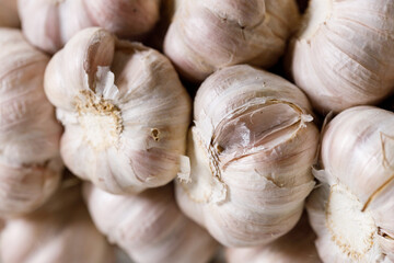 Ripe organic garlic clove and bulb on white wooden background.  Close-up. Selective focus.