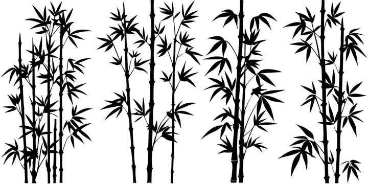 bamboos vector silhouettes white background