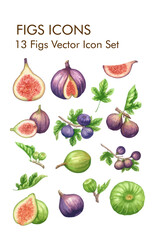 Figs logo vector icon set 