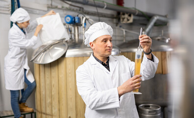 Focused brewer controlling process of craft beer production in small brewery, measuring beer...
