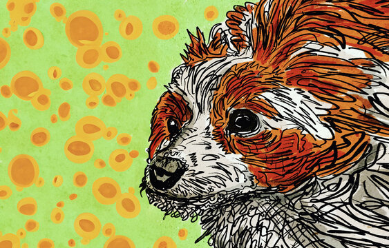 Vibrant Dog Illustration - Colorful and Unique Pet Portrait