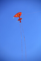 Kites of various colors and patterns float in the sky, creating a beautiful sky backdrop 